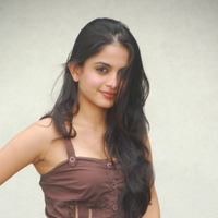 Actress Sheena Shahabadi latest Photos | Picture 46648
